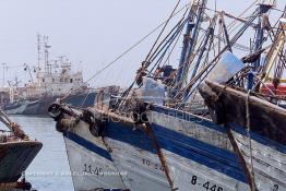 Image du Maroc Professionnelle de  Quelques bateaux de pêches sur un des quais au port d'Agadir, ville située au sud du Maroc, Vendredi 23 Août 2002. (Photo / Abdeljalil Bounhar) 